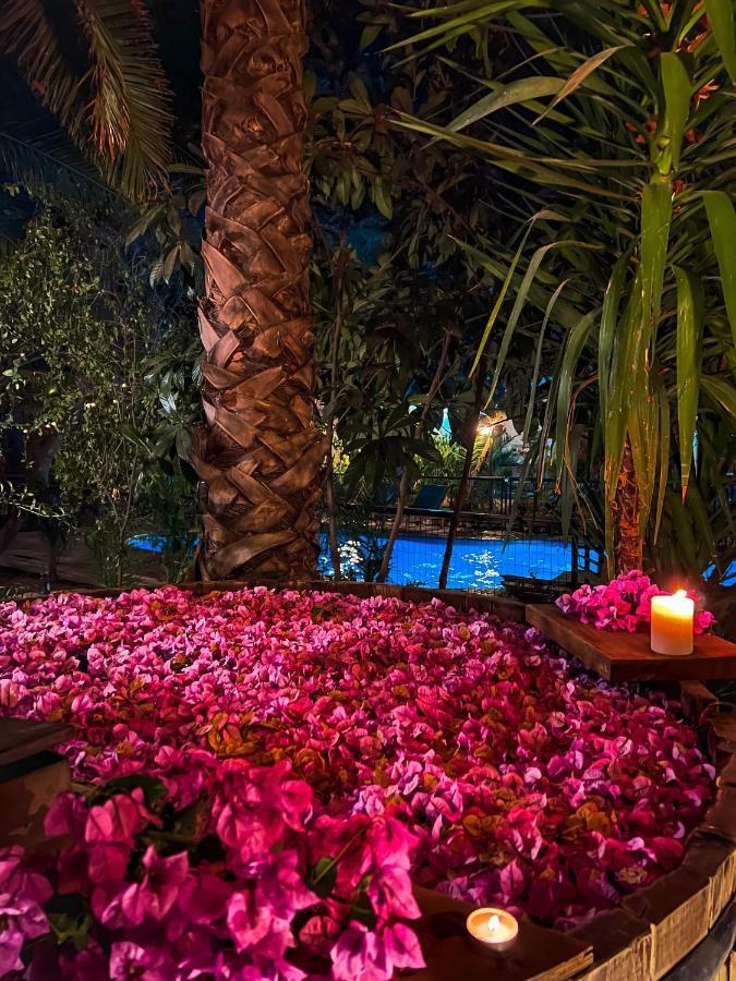 Barros Wellness & Spa Resort Boutique Los Andes Eksteriør billede